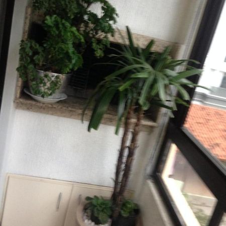 Jurere Apartamento Florianópolis Exterior foto